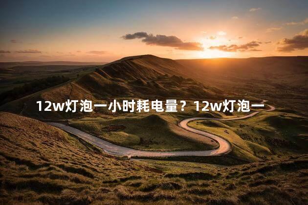 12w灯泡一小时耗电量？12w灯泡一小时耗电量 = 12瓦灯泡耗电量解析